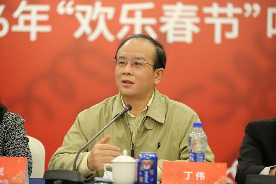 文化部副部长丁伟讲话