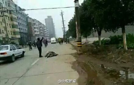 鐜板満鍥剧墖