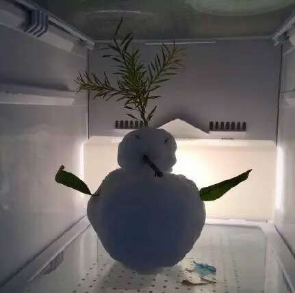 广东人在冰箱中“强留雪人”。