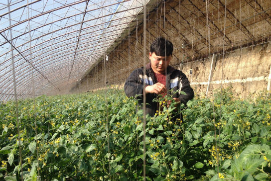 【辽宁】20岁青年逆袭 回乡专心务农