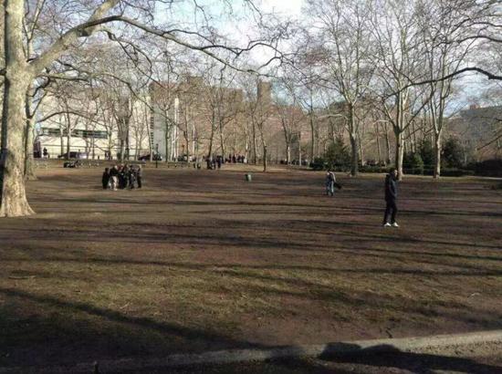 有twitter网友发图片称，集会后的公园甚至比集会前更干净
