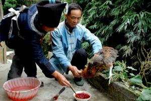 【貴州】年輕人拋棄的布依族文化圖騰