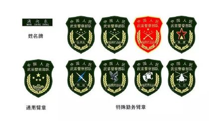 武警部队新式标志服饰