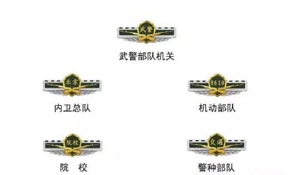 武警部队新式标志服饰