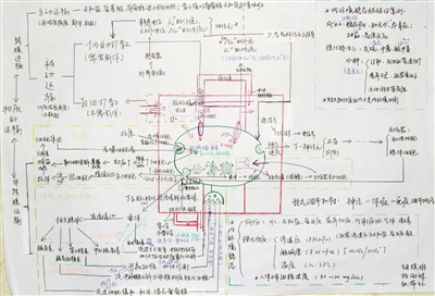 高三学生手绘生物笔记走红 网友大呼逆天(图)|