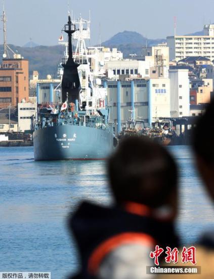 早在2014年3月，国际法院曾下达判决，勒令日本停止在南极海域的科研捕鲸。此后日本仅开展了目视调查，但在2015年年底重启捕鲸调查。  