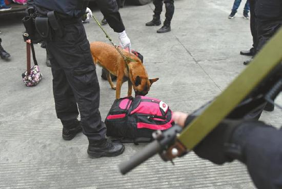 缉毒犬对可疑背包进行搜索。