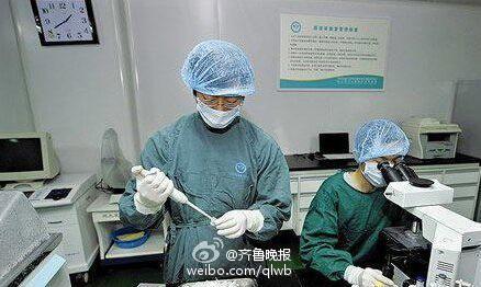 精子库工作人员在筛查精子