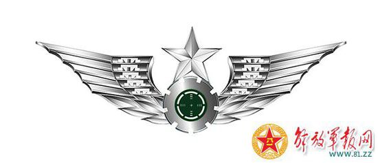 中央军委揭秘解放军15式系列臂章胸标(图)|臂