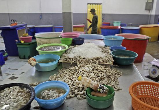 泰国军警在突击检查工作坊时，大量的虾被弃置在工作台上。（美联社）