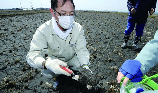 ”常外“以外，中国还有哪些毒地？