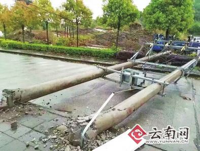 保山市区大树被连根拔起，导致交通受阻。