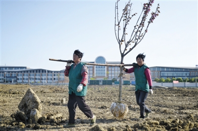 4月19日，常州外国语学校对面空地上，园林工人正在种树。因多名学生体检指标异常，家长认为此处即为污染源。新京报记者 王嘉宁 摄