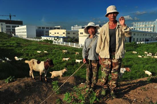 “拍照吧少年”第三季参赛作品：《都市牧羊人》之一 摄影：李冠玉