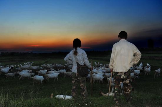 “拍照吧少年”第三季参赛作品：《都市牧羊人》之一 摄影：李冠玉