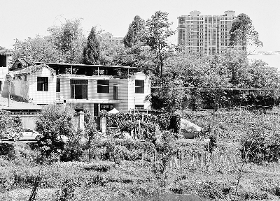 李成云老家的住宅。