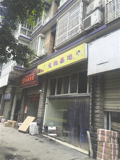 宠物医院现场
