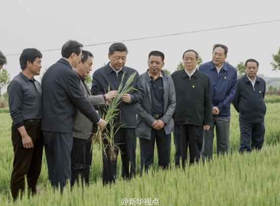 �����ǿ��Ҫ��֤ũ��Ʒ��ȫ