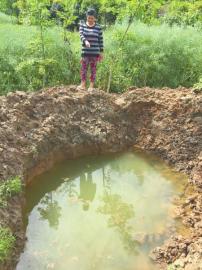 都江堰市青城山镇青田村4组魏女士家的油菜地，被“盗木者”挖出一个直径三四米的大坑。