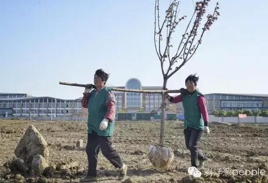 4月19日，辽河路常州外国语学校对面空地上，园林工人正在种树，由于之前化工厂坐落在此几十年，学校家乡认为此处污染对学生的健康造成影响，近日，此处开始进行树木的种植，工作人员称，这里将建成一运动公园。新京报记者 王嘉宁 摄