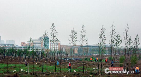 常隆地块 《中国经济周刊》记者 刘照普 摄