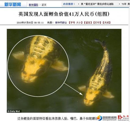 新华网关于“人面鲤鱼”的报道图片与邱先生钓起的鱼十分相似。