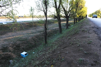 山西朔州市毛皂村，一名绑匪被击毙在这棵小树旁。