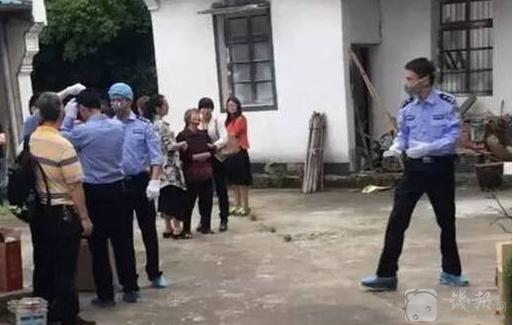 现场图