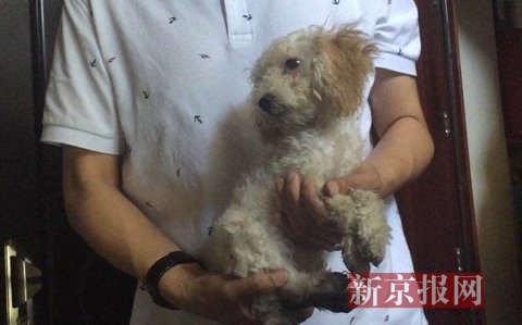 9层，男子抱着的狗在寻找狗的主人，这条狗是火灾时跑了出来。新京报记者 尹亚飞 摄
