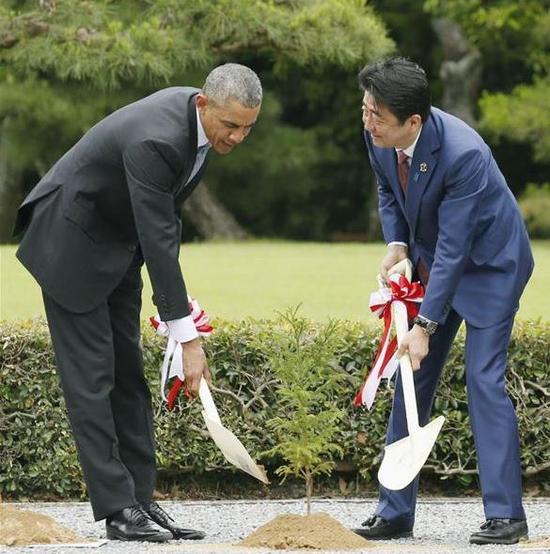 26日，G7峰会间隙，安倍与奥巴马一起植树。