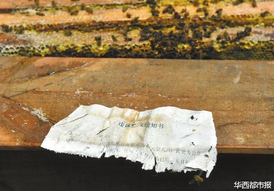 物业发出的整改通知和地面上被毒死的蜂蜜。