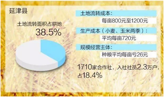 延津县