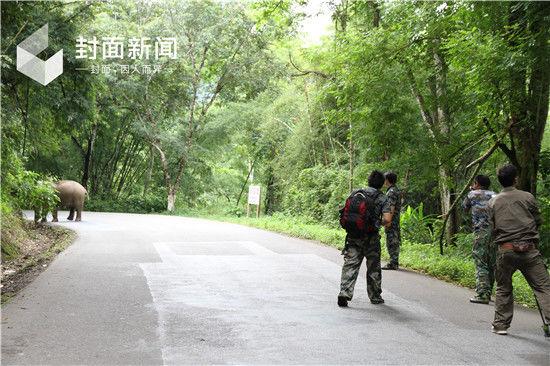 沈庆仲 摄
