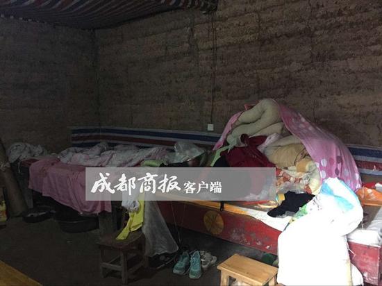 少年的家