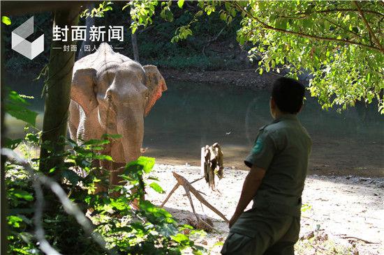 沈庆仲 摄