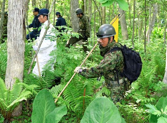 自卫队在林中寻找