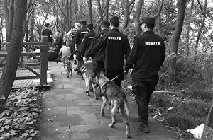  萧山警方带警犬搜山 通讯员供图
