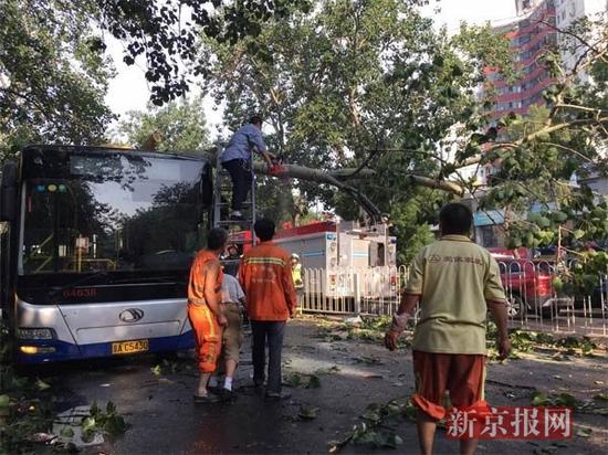 北京下午突降冰雹三棵大树被刮倒