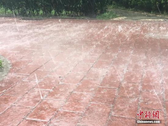 6月10日，北京自西向东迎来一场雷阵雨，雨中伴有雷声及闪电，局部地区出现冰雹。图为北京东四环朝阳路附近出现冰雹天气。