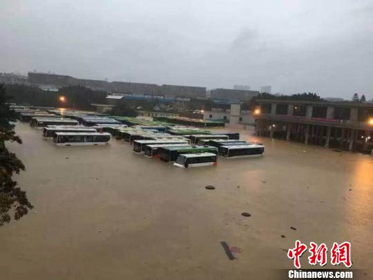 图为柳州市公交二分公司的车辆被淹。　钟欣　摄