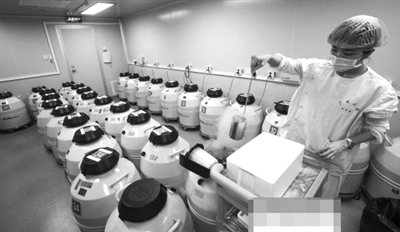 　　冷冻胚胎保存在零下200多摄氏度的液氮罐中
