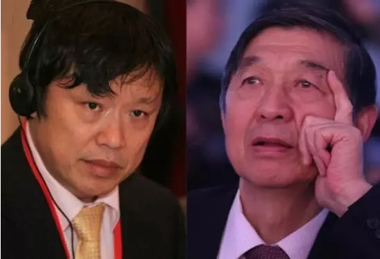 胡锡进与吴建民
