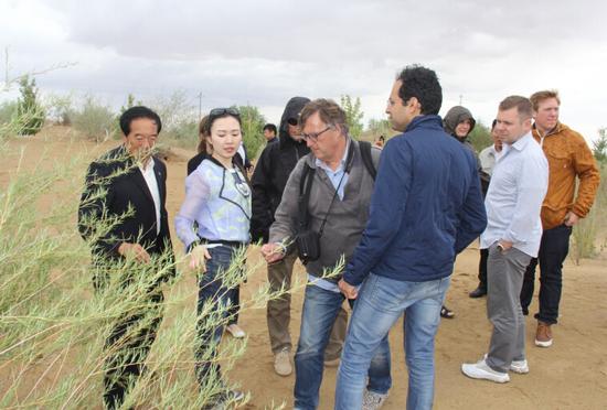 科学家考察团考察沙漠腹地生态修复区