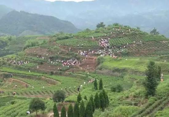 很多人涌入这座后山