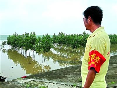 宗克飞介绍,该镇按照每公里30人的标准巡防,参与巡防的村民共有1200多人。