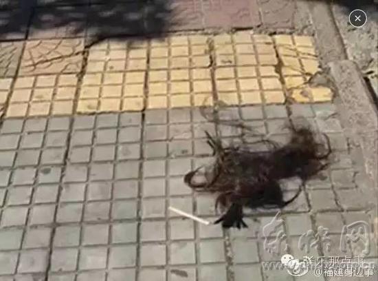 С����ͷ��������