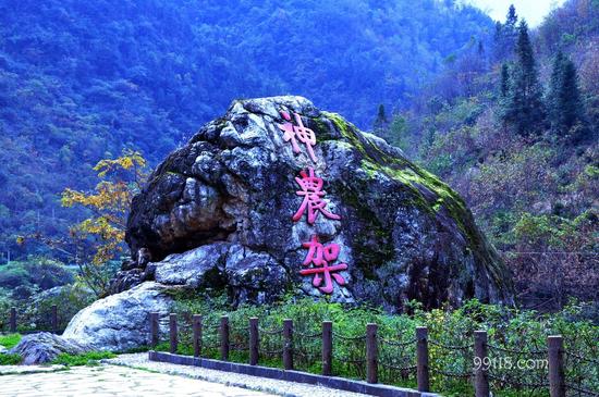 湖北神农架。资料图