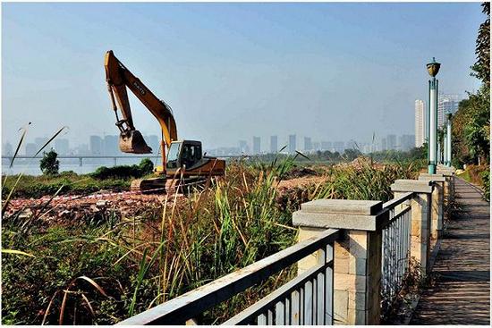2015年,堆放的淤泥上长满了草,还出现了建筑垃圾。