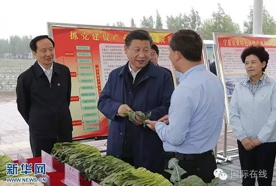 这是7月18日下午，习近平在固原市原州区彭堡镇姚磨村了解冷凉蔬菜种植销售情况。新华社记者鞠鹏摄