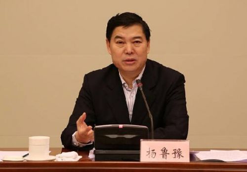 杨鲁豫